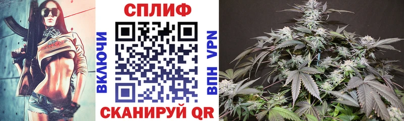 Виды наркотиков купить Мураши Гашиш  Кокаин  Меф мяу мяу  A-PVP  ЭКСТАЗИ  Каннабис 