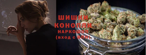 сатива Надым