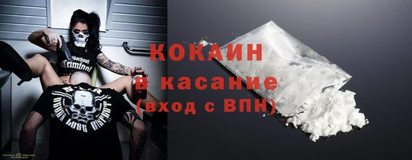 сатива Надым