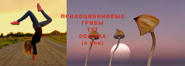 прущие крисы Наволоки