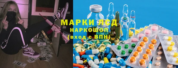 сатива Надым
