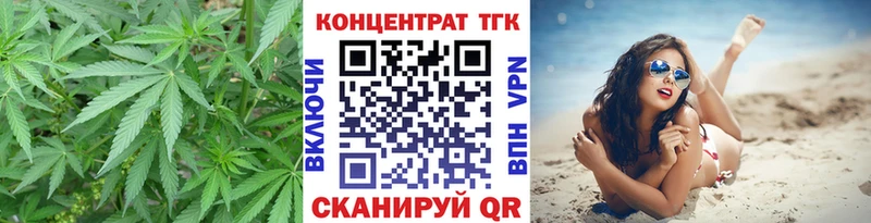 ТГК Wax  Мураши 